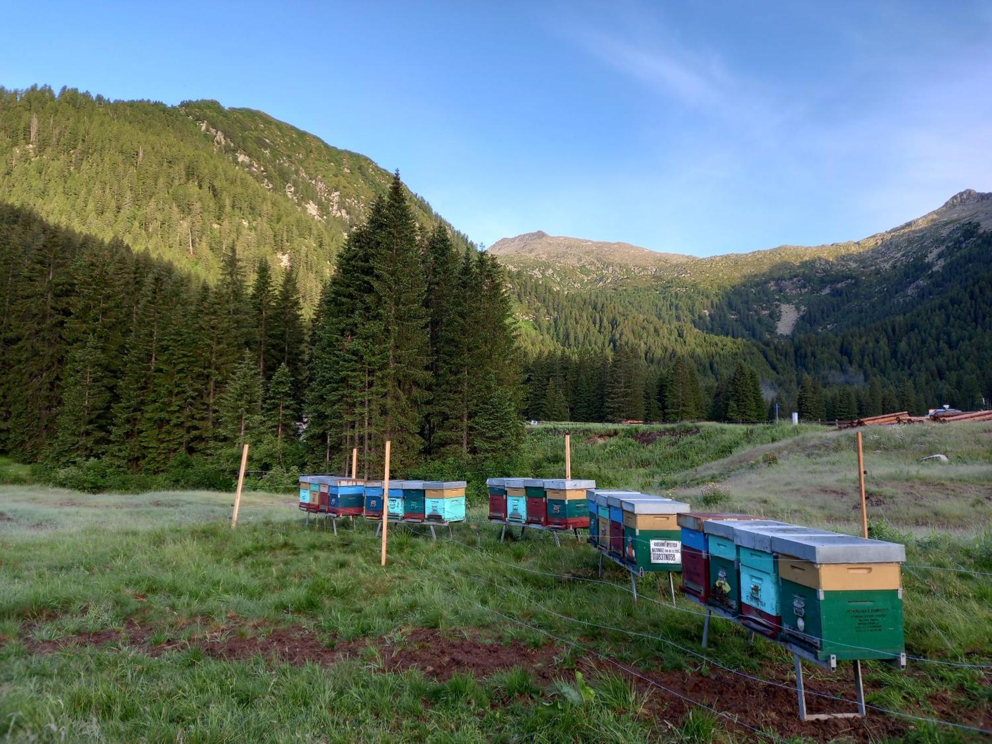 Agritur Ca' De Mel Villa Fiavè Екстериор снимка