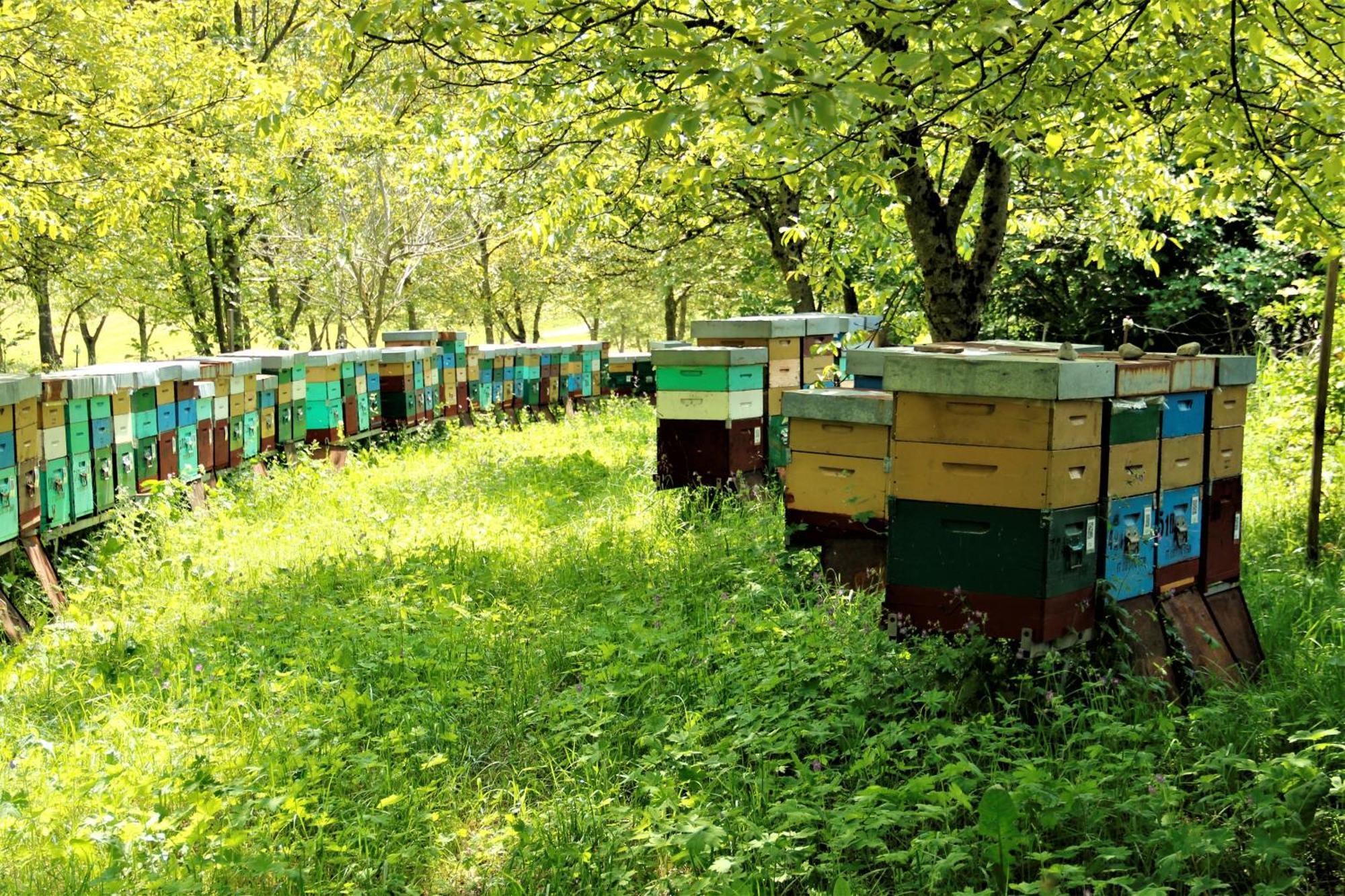 Agritur Ca' De Mel Villa Fiavè Екстериор снимка